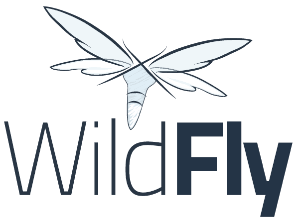 https://www.wildfly.org/