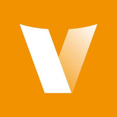 ВКС терминалы Vinteo T, ST, PT1080 лого